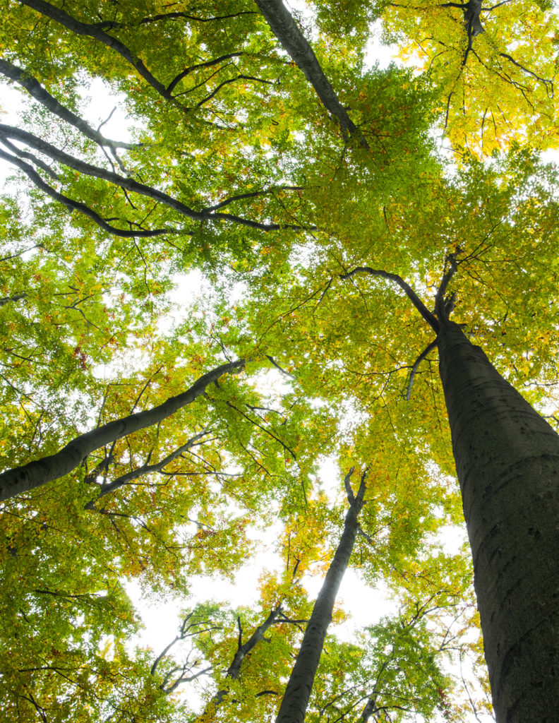 TSE Ympäristö aurinkoenergia